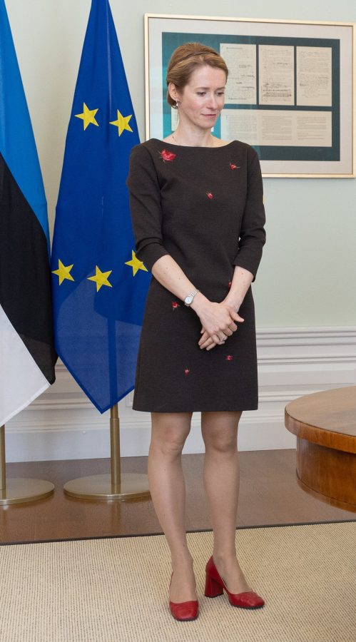 Estonian female politician Kaya Karas, who likes to wear pantyhose, has nice legs(8/8)