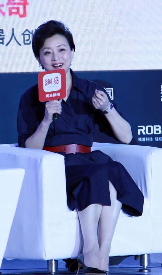 杨澜参加人工智能科技峰会脚穿高跟鞋肌肤光滑(1/1)