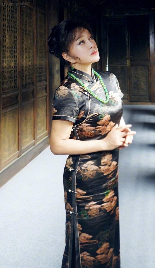 旗袍刺客刘晓庆身材丰满露黑丝腿(6/6)