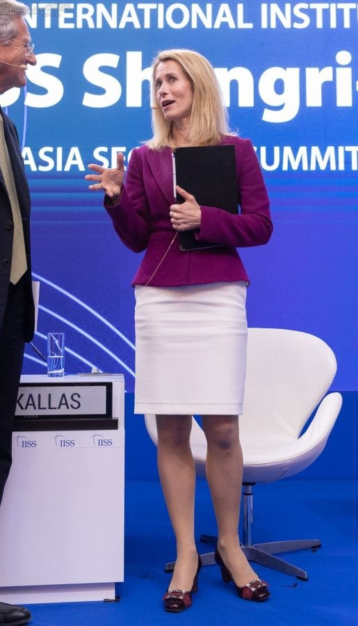 Kaja Kallas身着套裙腿穿丝袜外出访问(6/10)