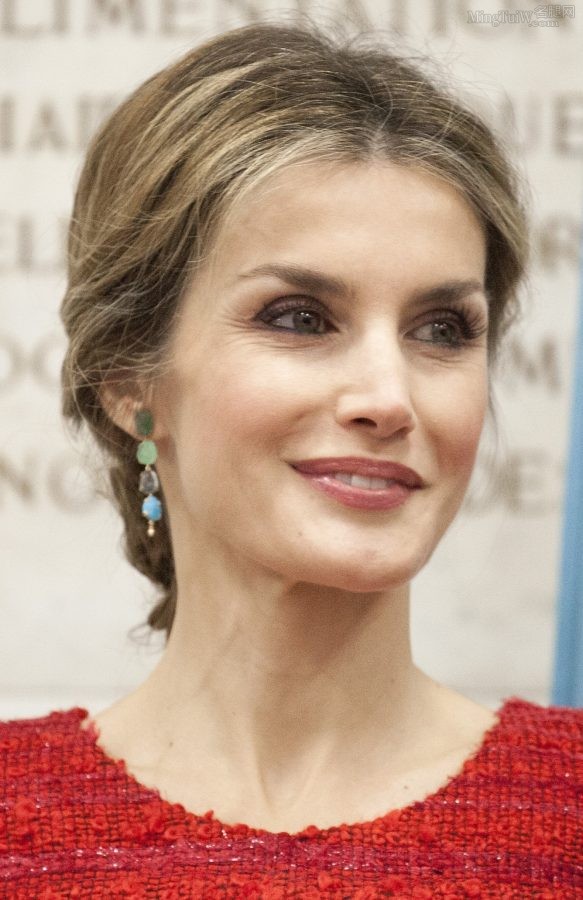 Spanish Queen Letizia Ortiz's stocking legs under the table(3/3)
