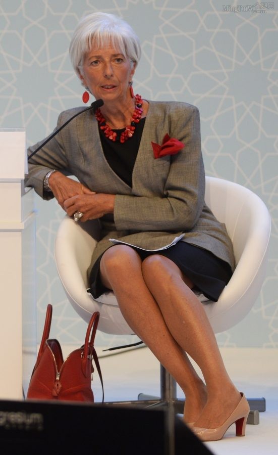 Christine Lagarde腿穿肉丝袜出席B20峰会（第4张/共8张）