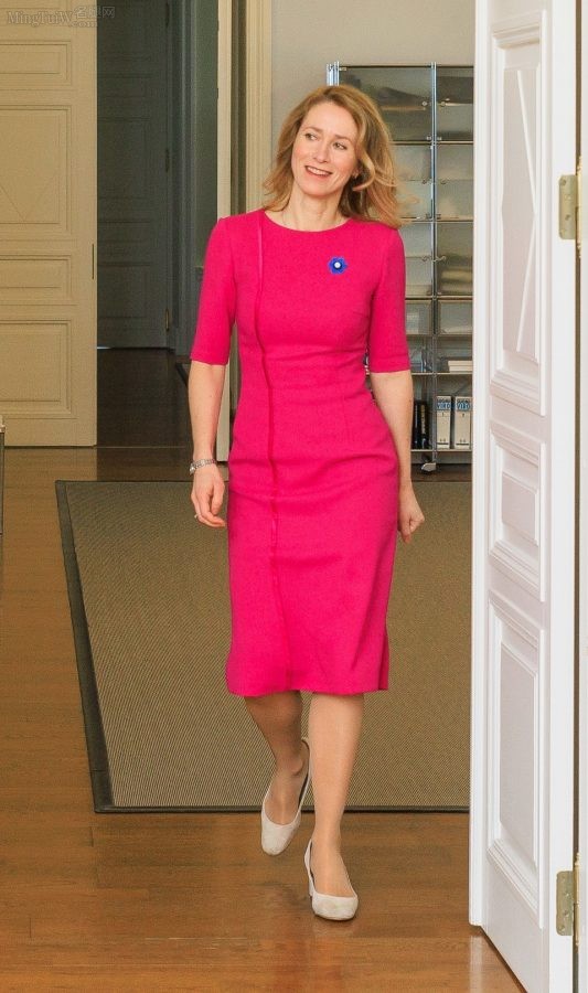 The pantyhose legs of Estonian female ministers(6/6)