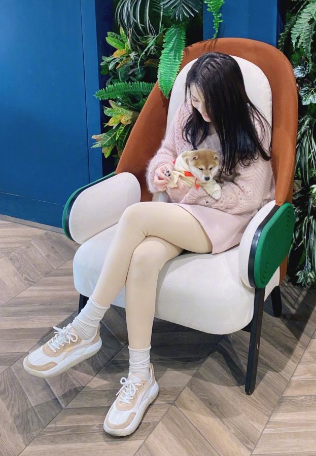 张慧雯腿上穿的不是肉丝是棉裤吧(1/1)