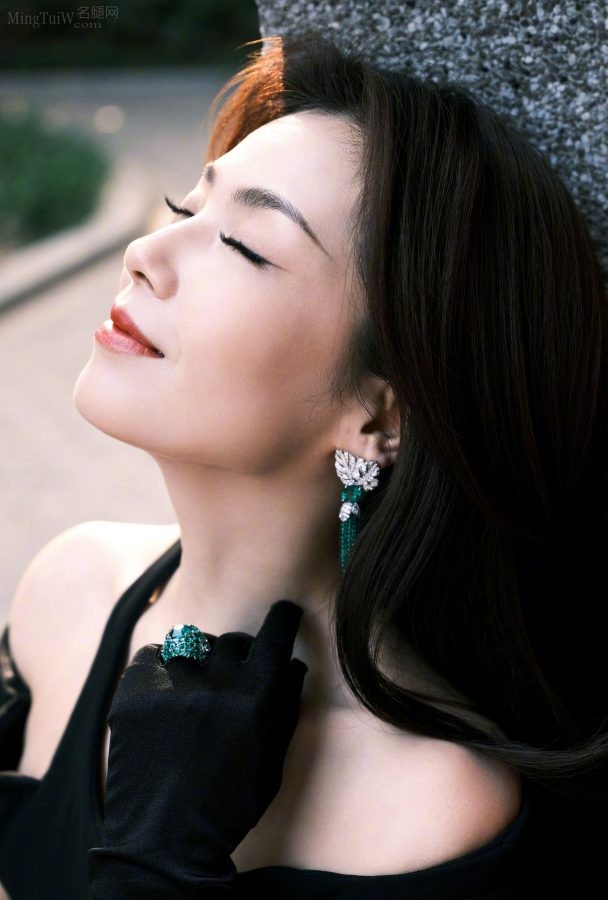 刘涛身着高贵礼服展示她那绝世的美脸(4/6)