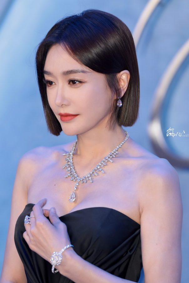 44岁女明星秦岚这胸这腿闪亮迷人(24/25)