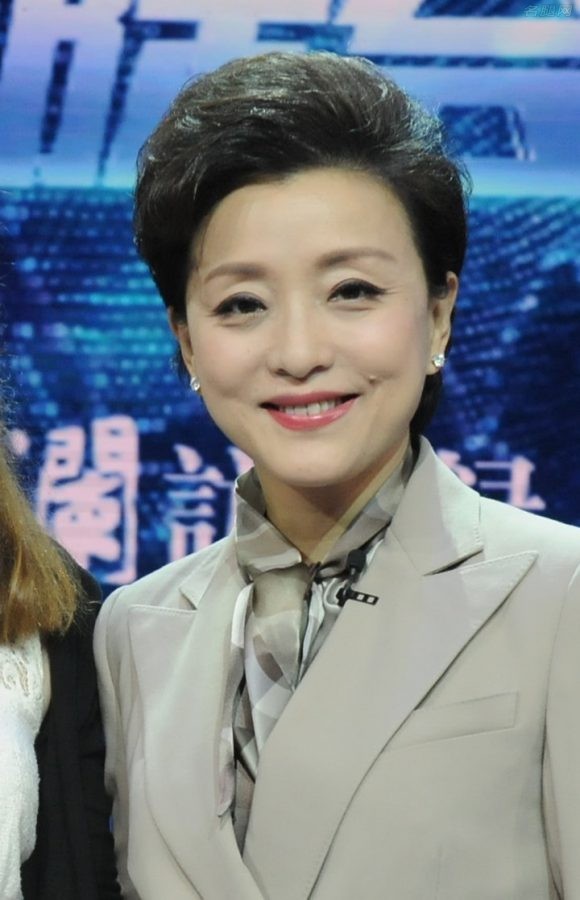 《风云际会—G20杨澜访谈录》知性女主持杨澜西装裤里丝(5/5)