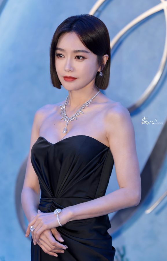44岁女明星秦岚这胸这腿闪亮迷人(23/25)