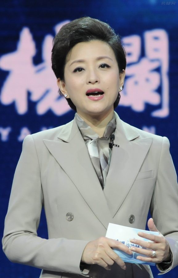 《风云际会—G20杨澜访谈录》知性女主持杨澜西装裤里丝(4/5)