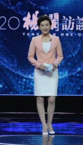 《G20杨澜访谈录》主持人杨澜职业套装肉丝白高跟登台（第3张/共15张）