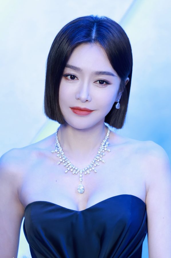 44岁女明星秦岚这胸这腿闪亮迷人(20/25)