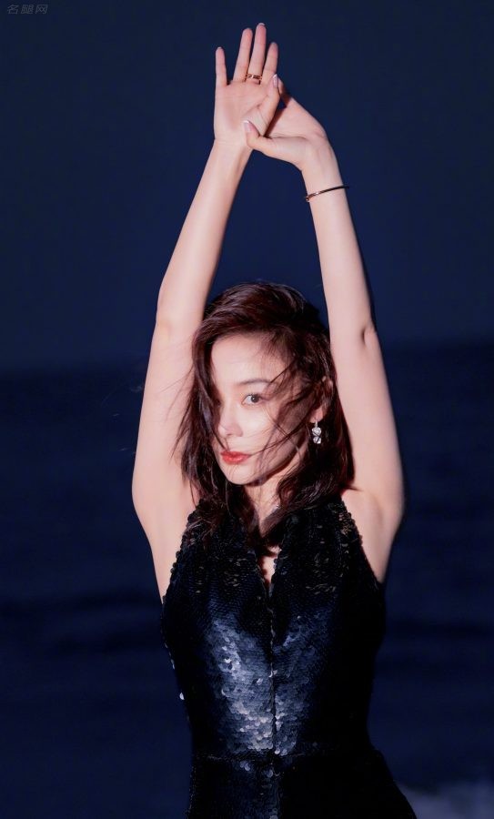 袁姗姗夜晚海滩高级感写真(4/4)