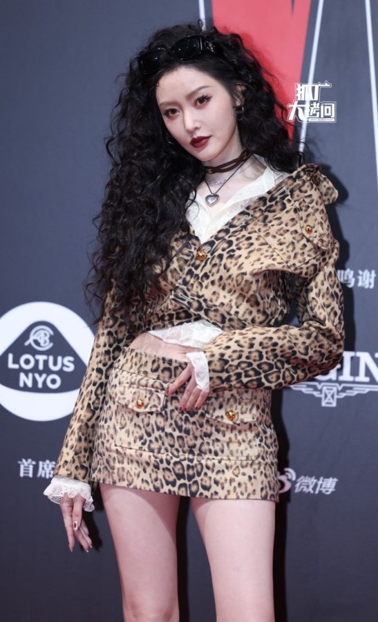 张天爱波浪卷发豹纹装美长腿(5/5)