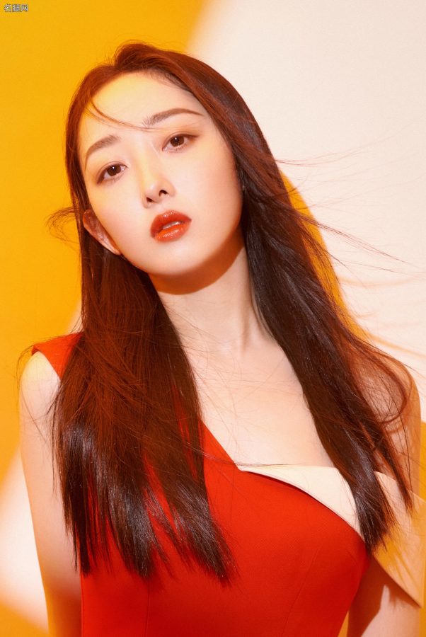 蒋梦婕红裙玉腿写真高清美脸看不停(4/5)