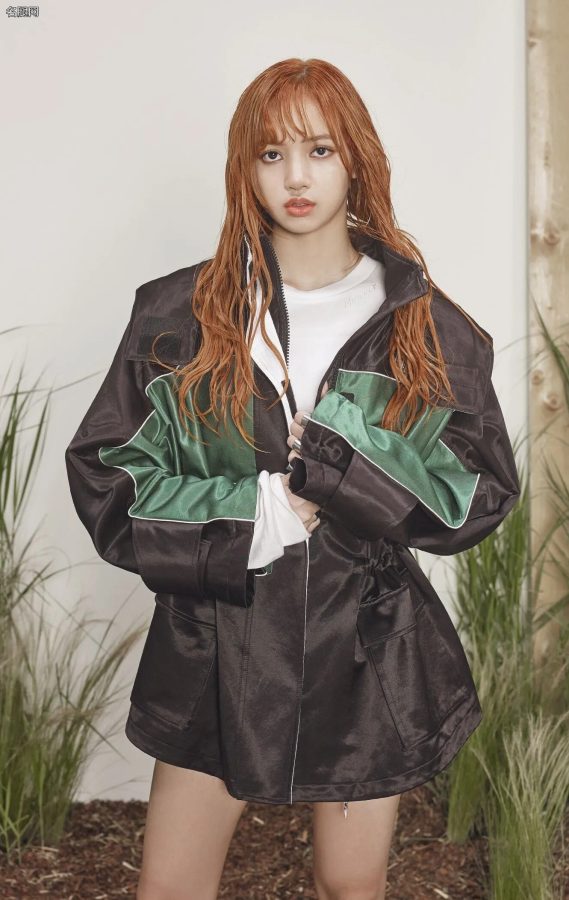 BLACKPINK成员LISA牛仔热裤美腿写真照(6/9)