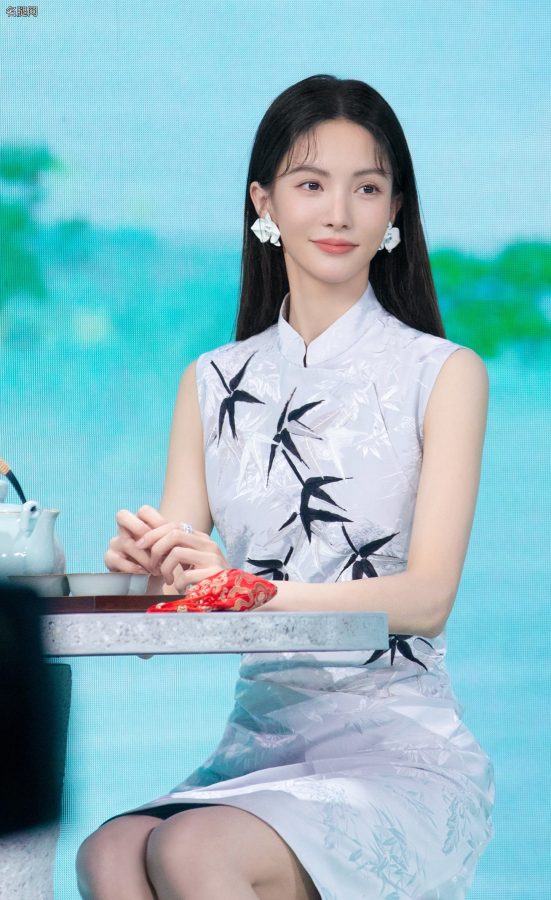 金晨穿旗袍配细高跟一双美腿优雅迷人(3/10)