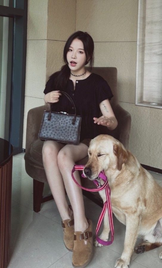甜美女歌手程佳佳穿短裤上街遛狗露白腿(1/5)