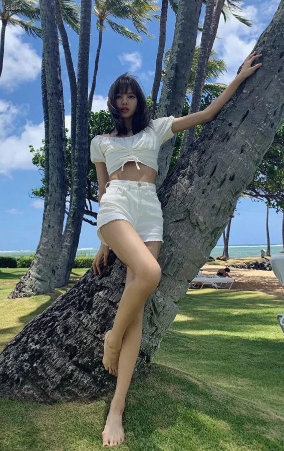 女明星LISA热带美腿玉足游客照(1/3)