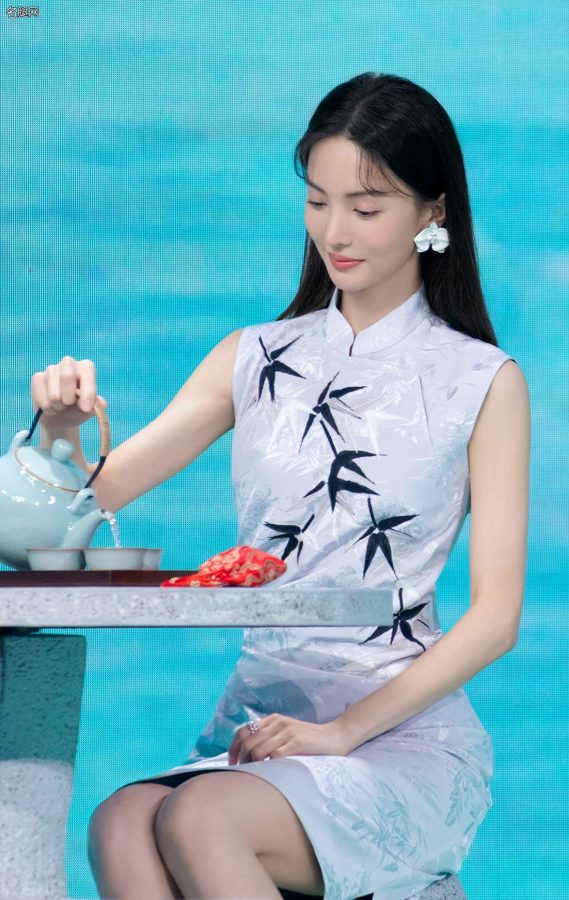 金晨穿旗袍配细高跟一双美腿优雅迷人(4/10)
