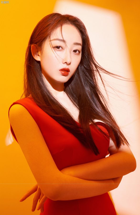 蒋梦婕红裙玉腿写真高清美脸看不停(3/5)