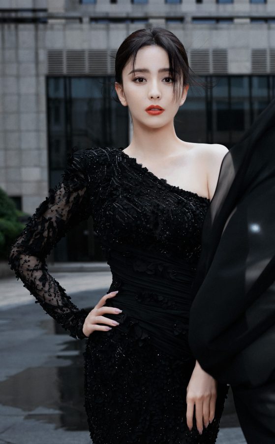 佟丽娅穿露肩晚礼服高清美脸气质冷艳不凡(3/8)