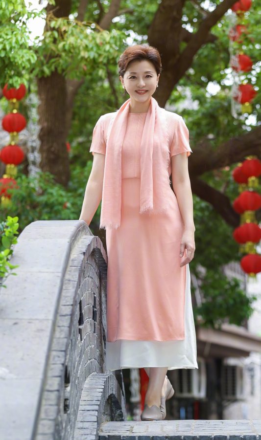 杨澜身着典雅古风裙腿穿肉丝拍摄美照(4/7)