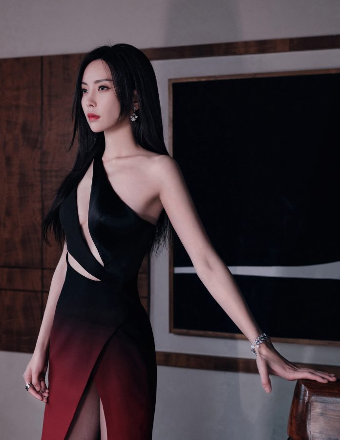 于文文身着一条高开叉性感礼服现身微博之夜盛典红毯(5/6)