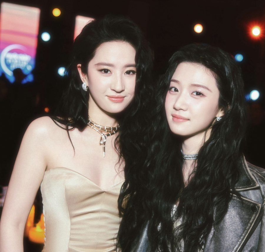 刘亦菲穿低胸美裙大方秀事业线亮相嘉人女性影响力之夜(10/10)
