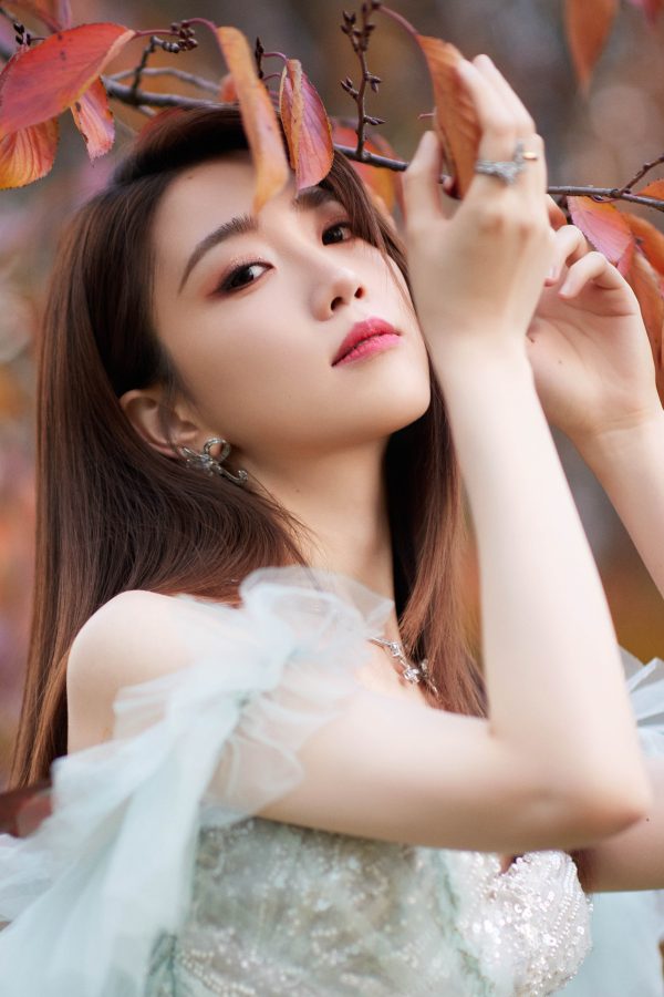 甜美公主风张纯烨穿薄纱拖尾礼服大秀纤细美腿(4/4)