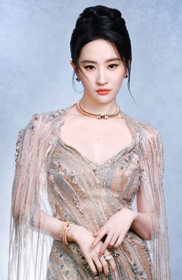 仙女刘亦菲穿低胸裙领取电视剧导演大会年度女主角(5/9)