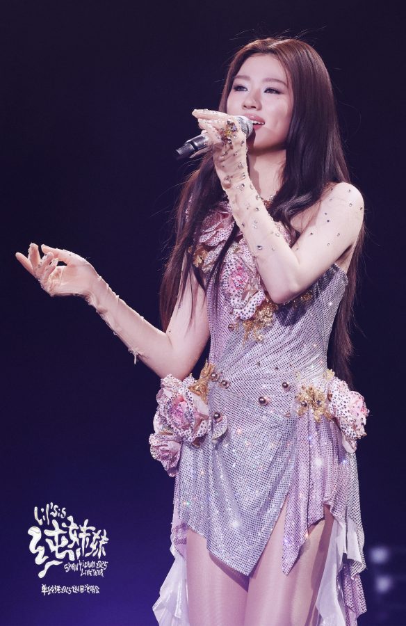 绝美小姐姐单依纯身穿粉紫色花朵礼服搭配肉色丝袜闪耀演唱会舞台(65/82)