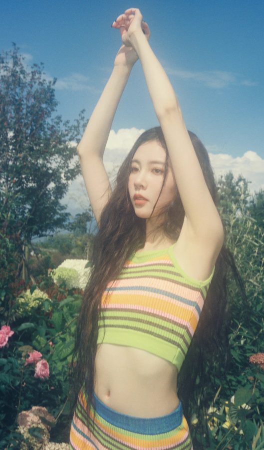 宋妍霏花丛中的彩色精灵！针织短裙大秀一双美腿(2/11)