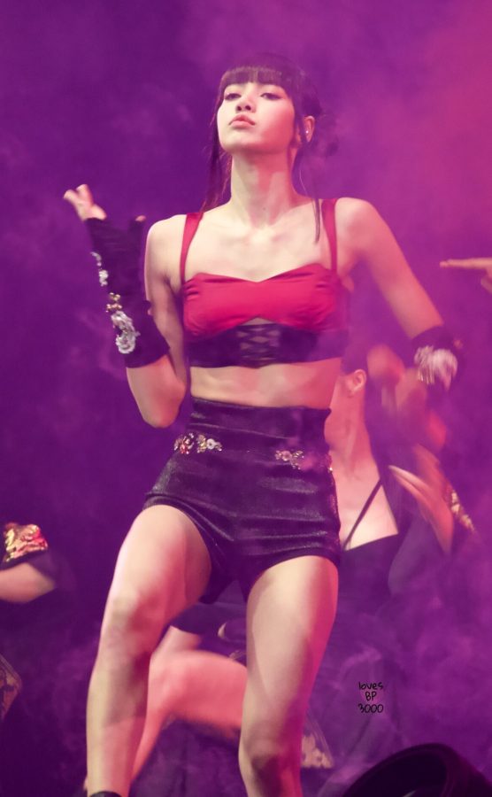 LISA穿着火辣再台上热歌劲舞(5/14)