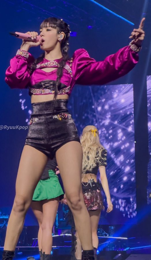 LISA穿着火辣再台上热歌劲舞(12/14)