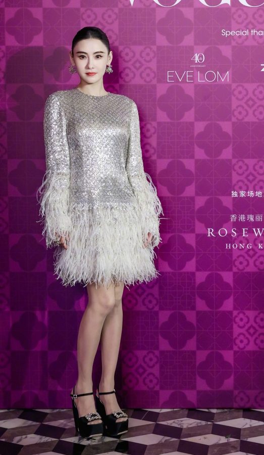 张柏芝穿超薄丝袜踩防水台高跟鞋出席VOGUEArt藏美之旅活动(1/1)