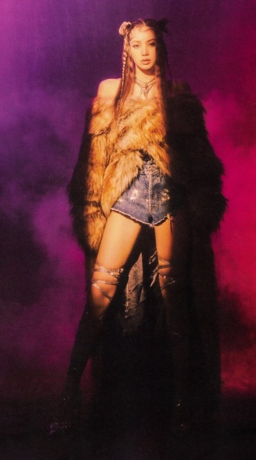 LISA紧身胸衣配百褶裙，苗条身材下的修长美腿太吸睛。(6/6)